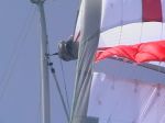 Vuoi_Fare_Vela_1UscitaParasailor11