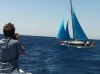 ArgentarioSailingWeek19
