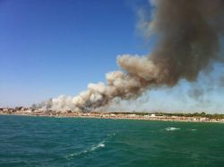 IncendioMarinaGrosseto2