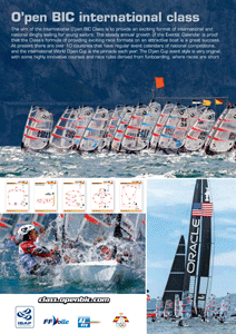 OpenBIC Book2014