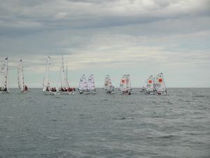 tan20104