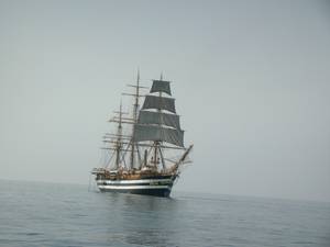 amerigovespucci5